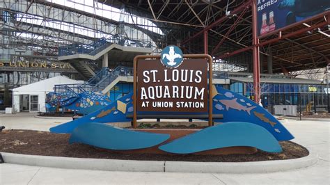 st louis aqarium|Tickets .